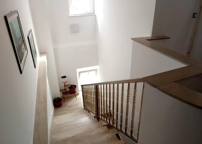 Daniela 卡里亚蒂