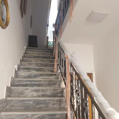 Daniela 4*