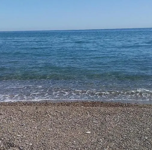 Daniela Panzió Cariati